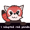 a
red panda